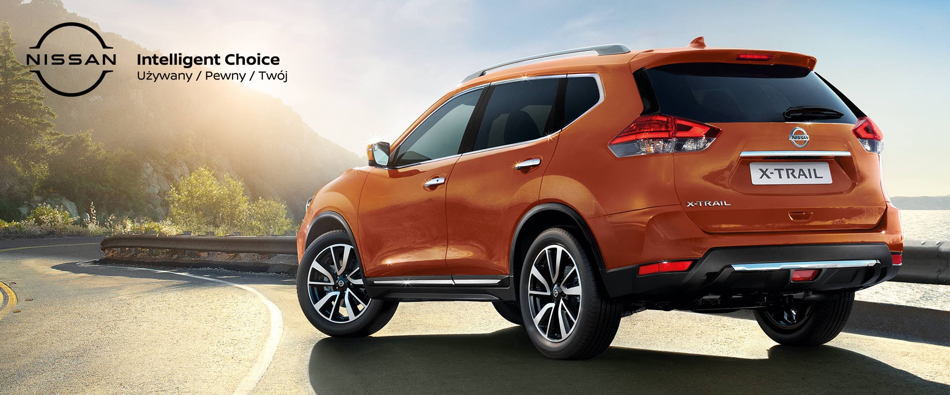 Nissan Intelligent Choice